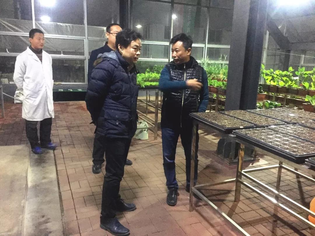 華商智業(yè)專家團(tuán)初晤元和農(nóng)業(yè)科技開(kāi)發(fā)有限公司